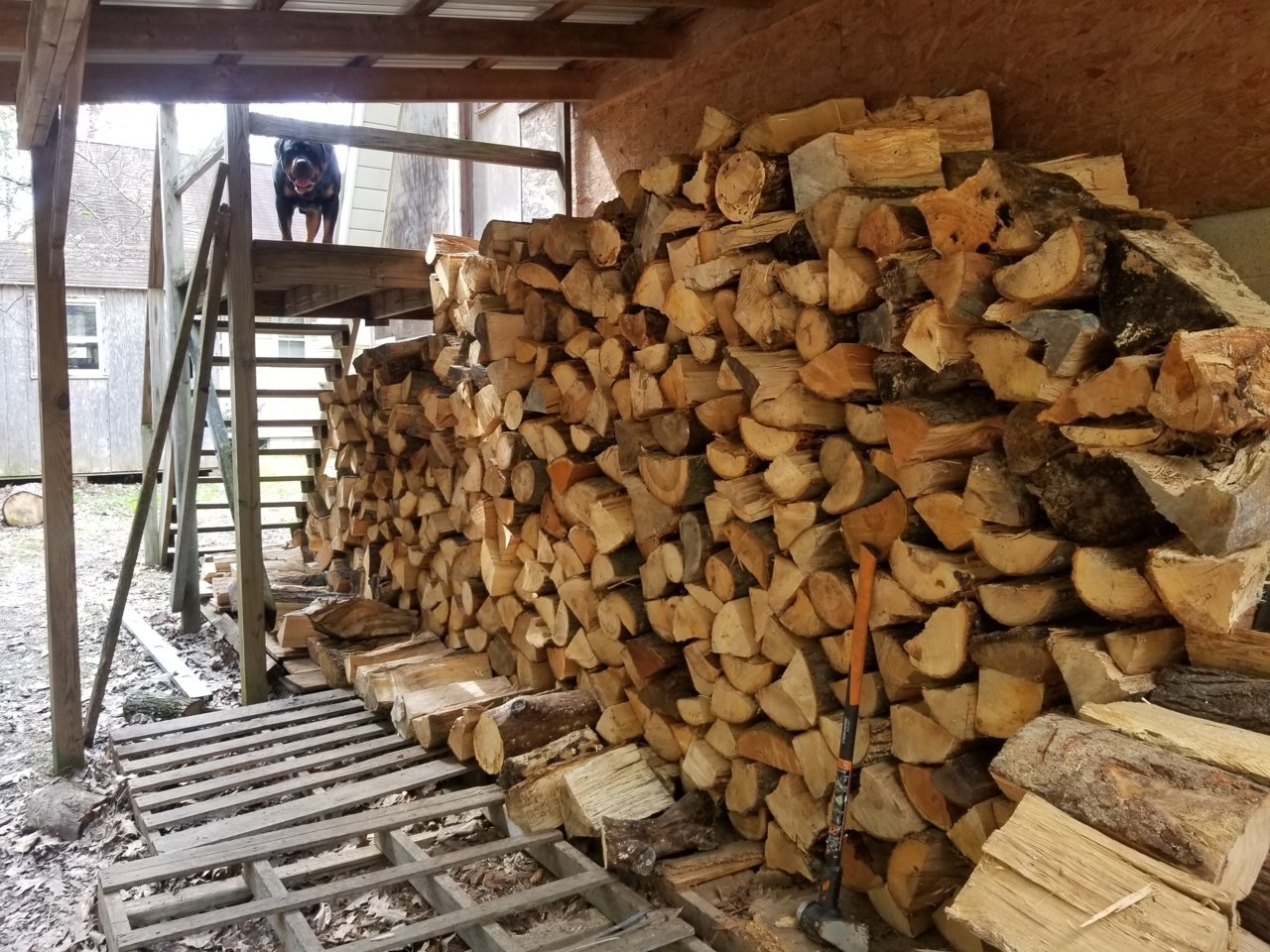 20190430_151618.jpg