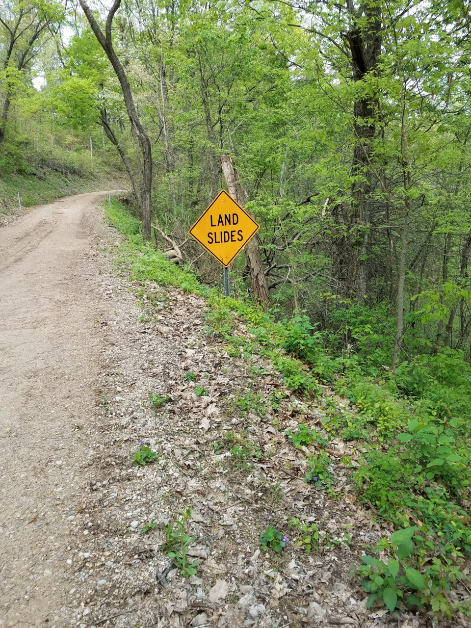 20190430_163340.jpg
