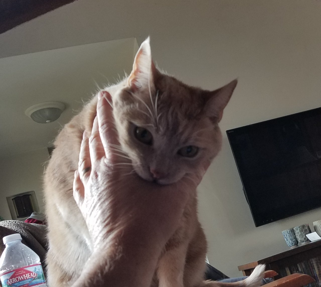 20190430_170333.jpg