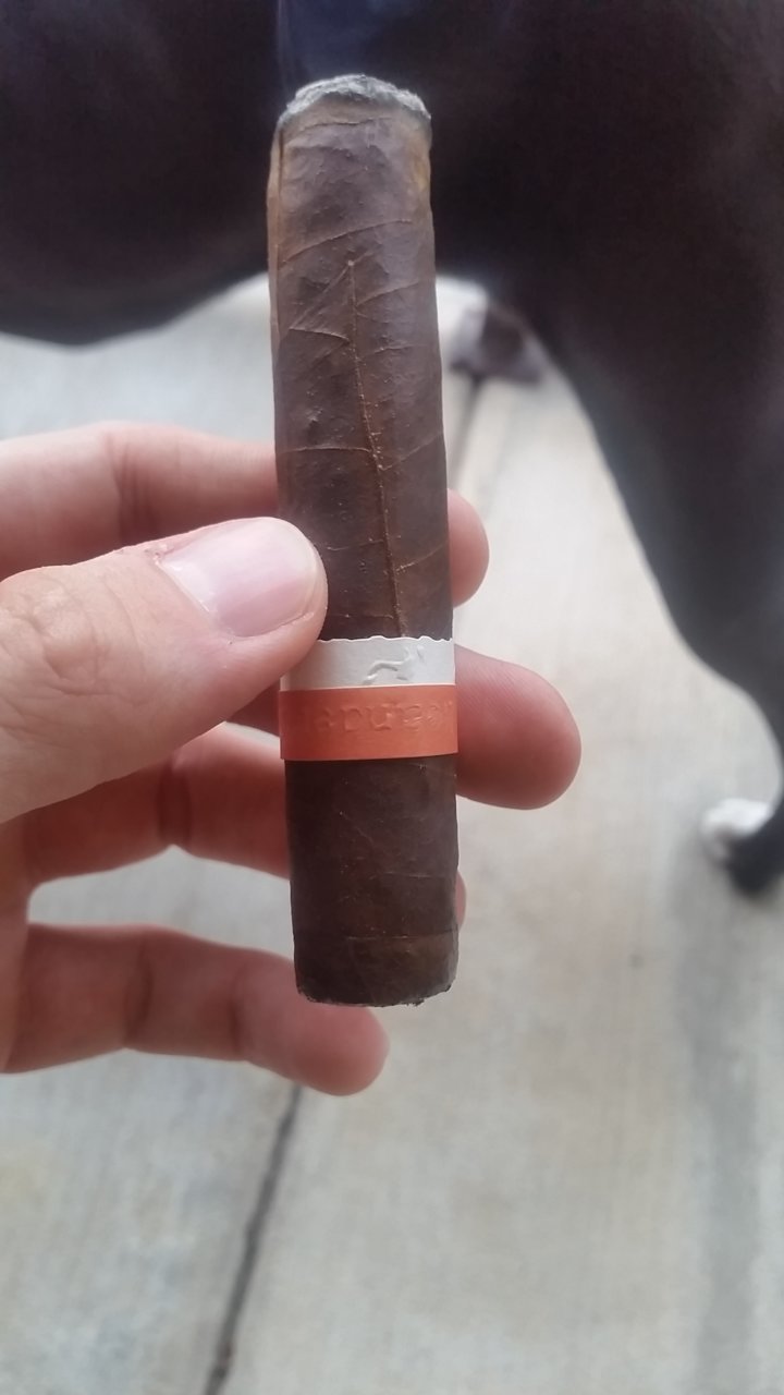 20190430_170809.jpg