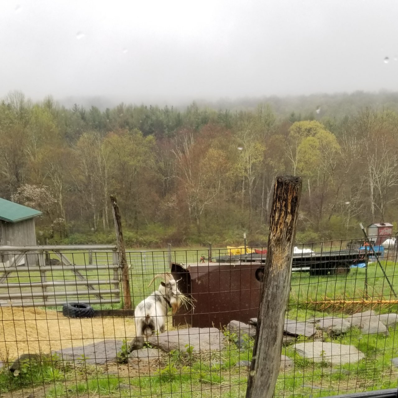 20190430_183507.jpg