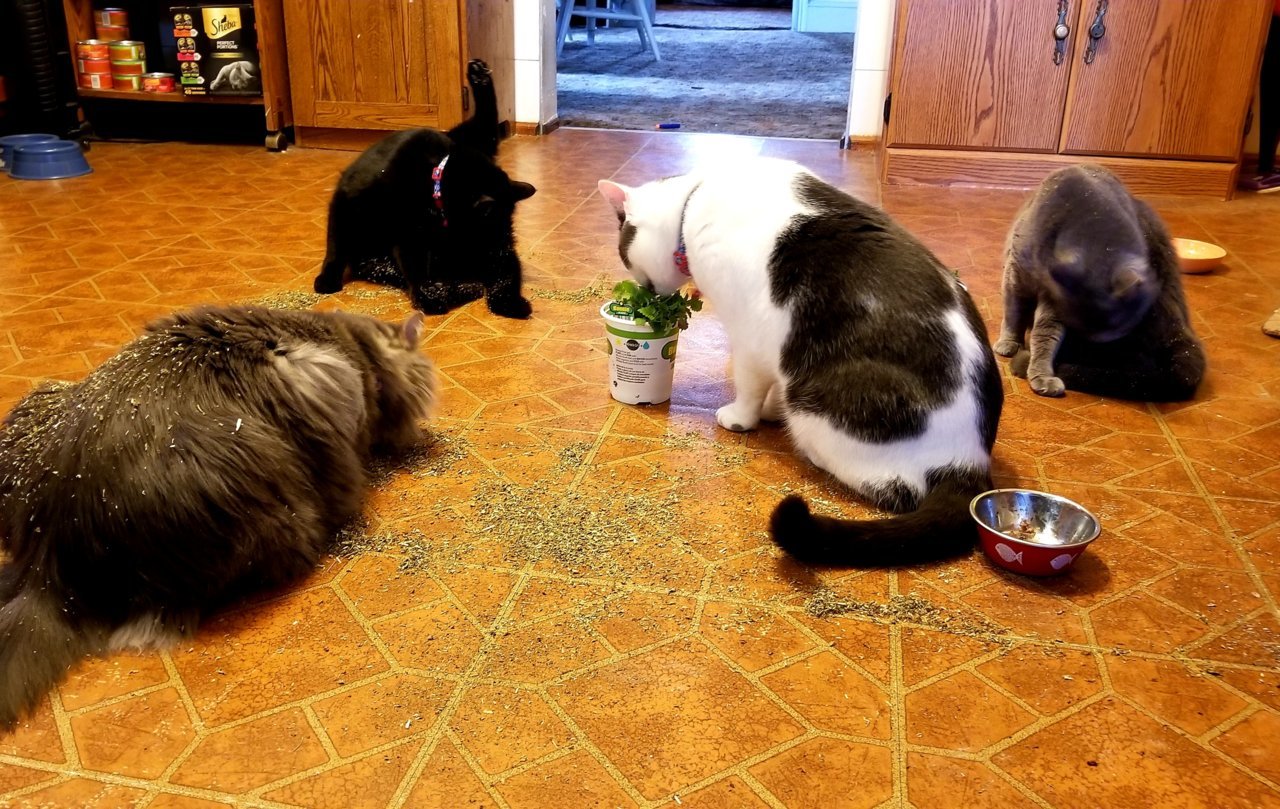 20190430_192727.jpg