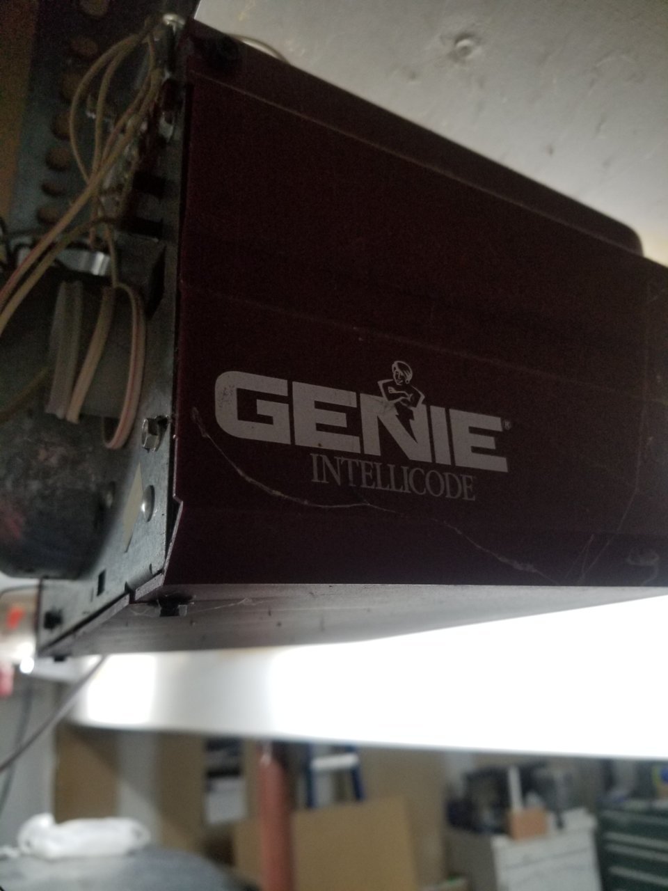 20190501_022316.jpg