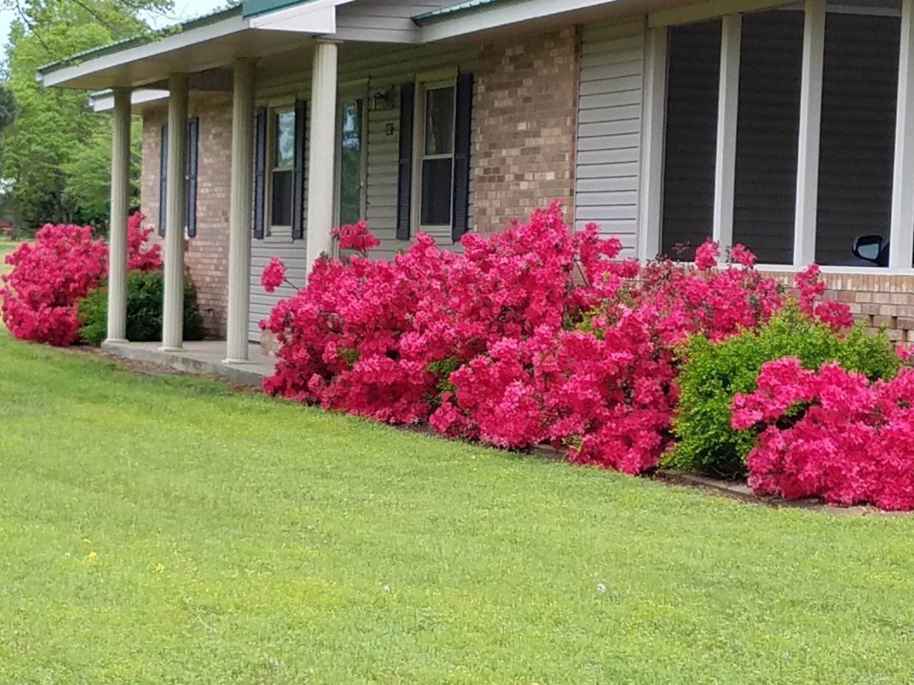 20190501_132338.jpg