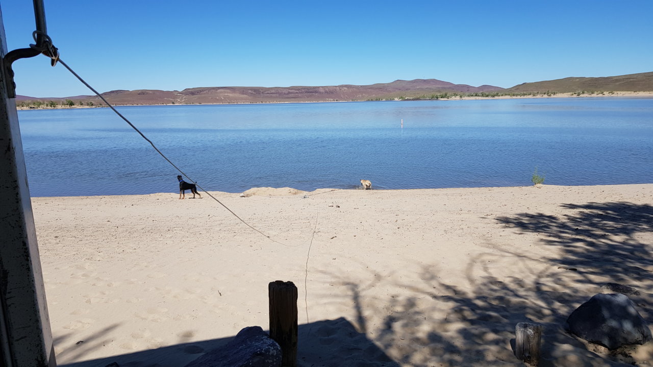 20190501_155231.jpg