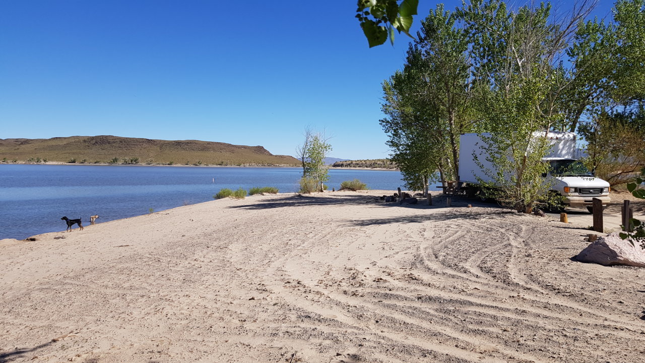 20190501_161313.jpg