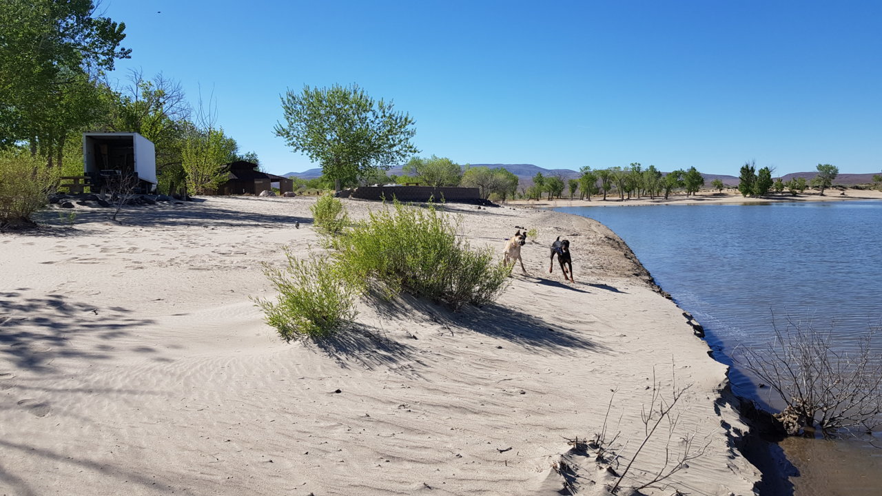 20190501_161456.jpg