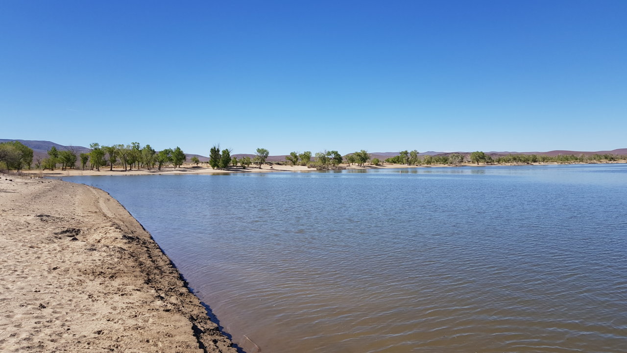 20190501_161525.jpg