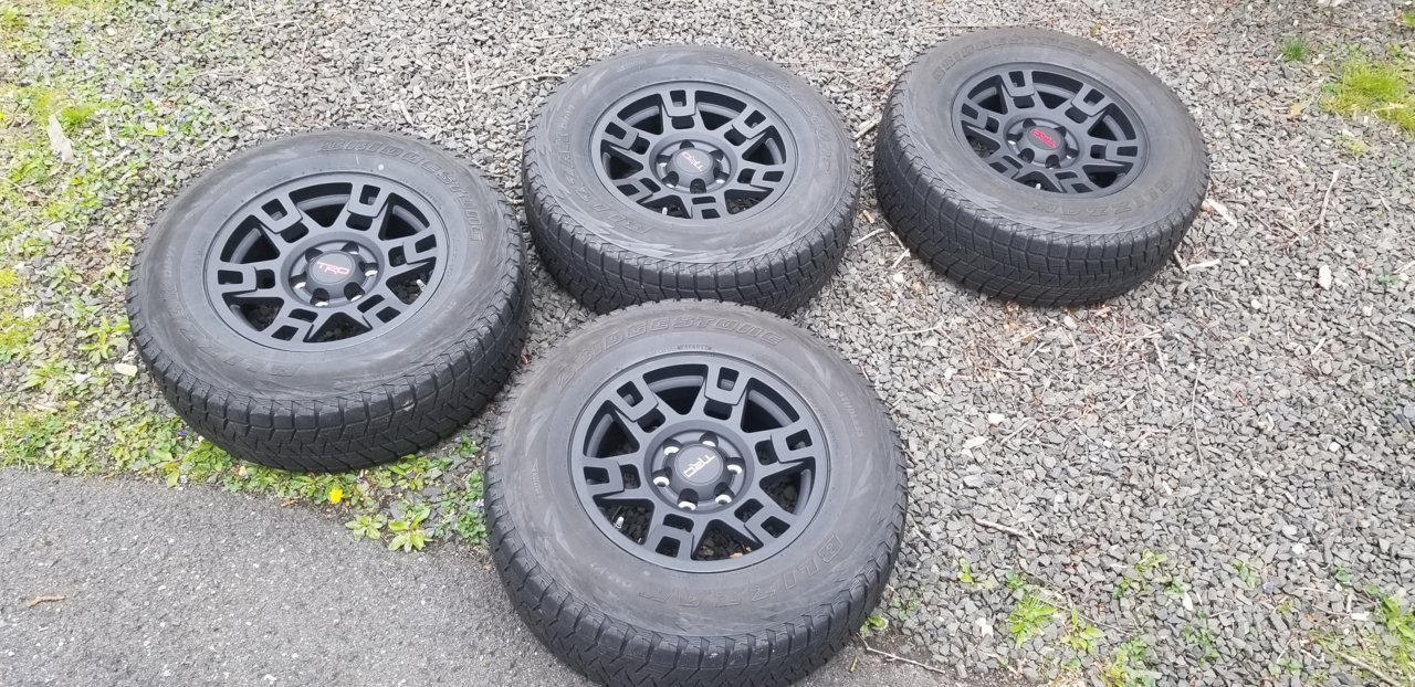 20190501_171528.jpg