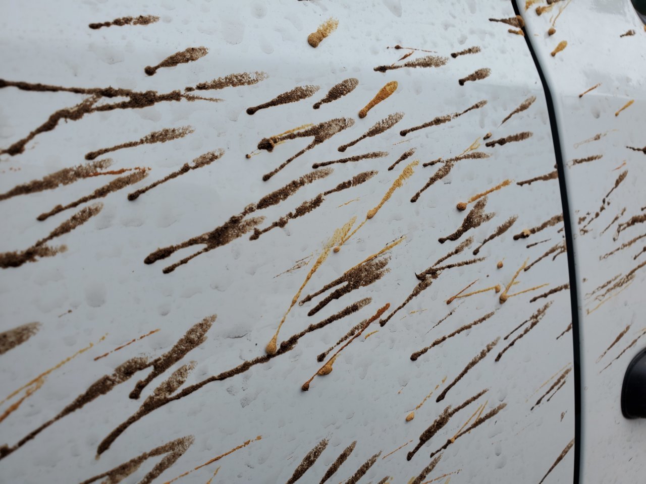 20190502_182957.jpg