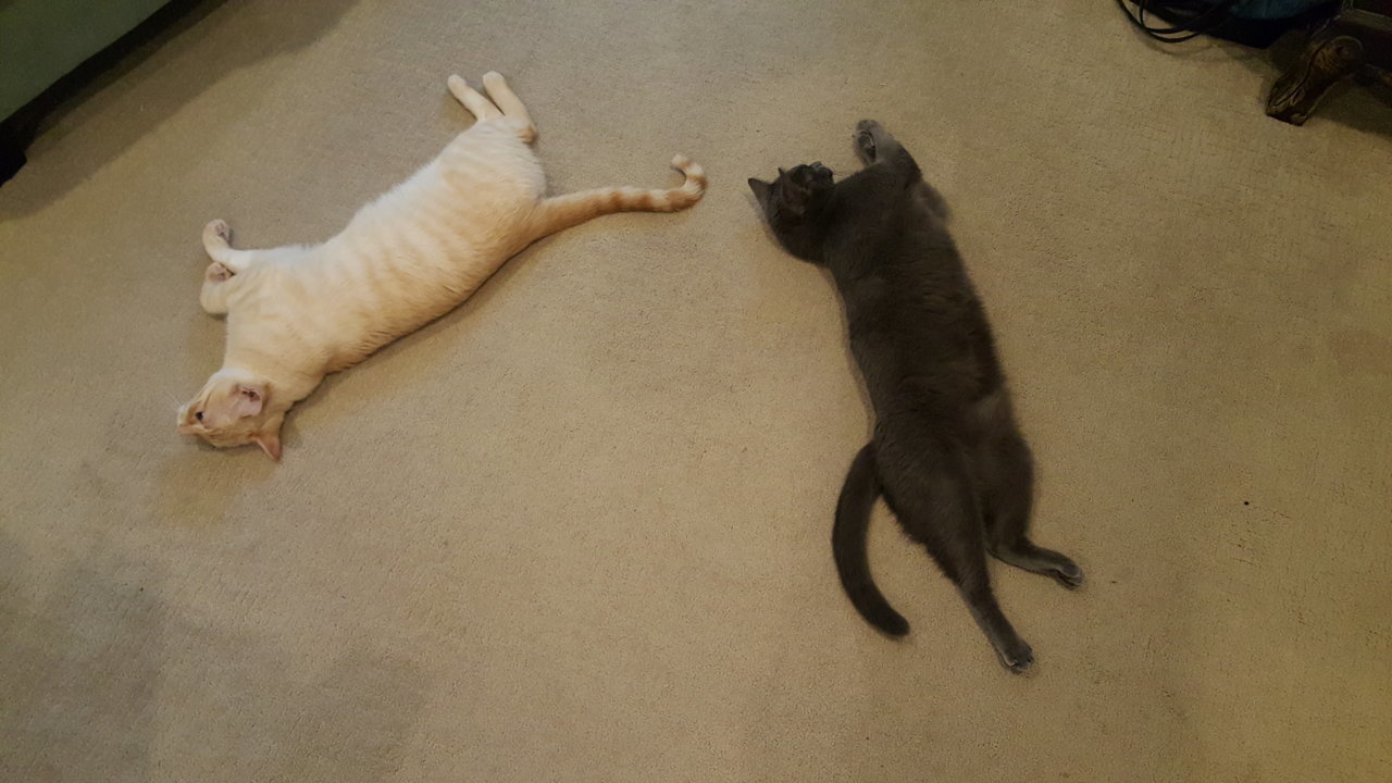 20190503_074719.jpg