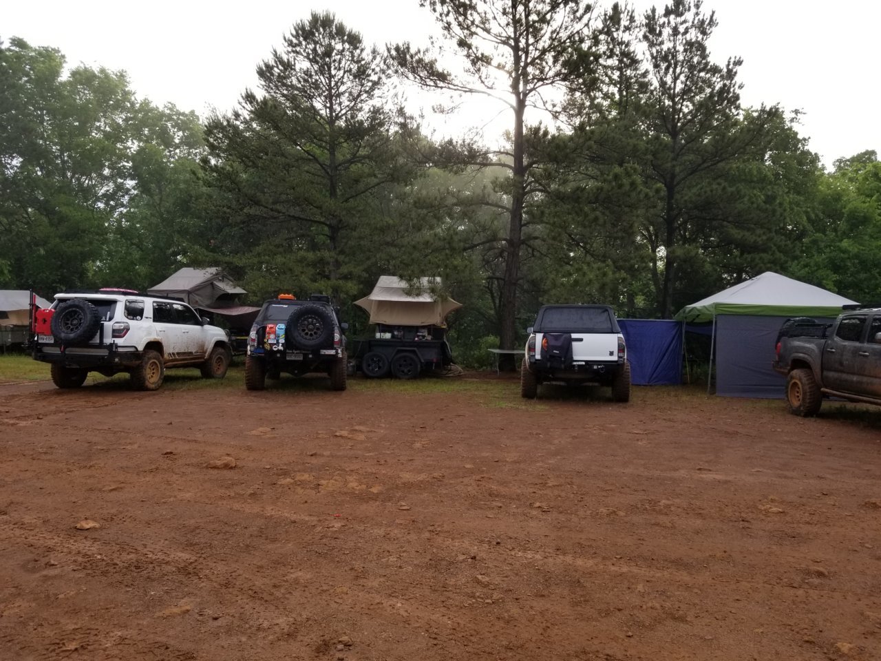 20190503_075946.jpg