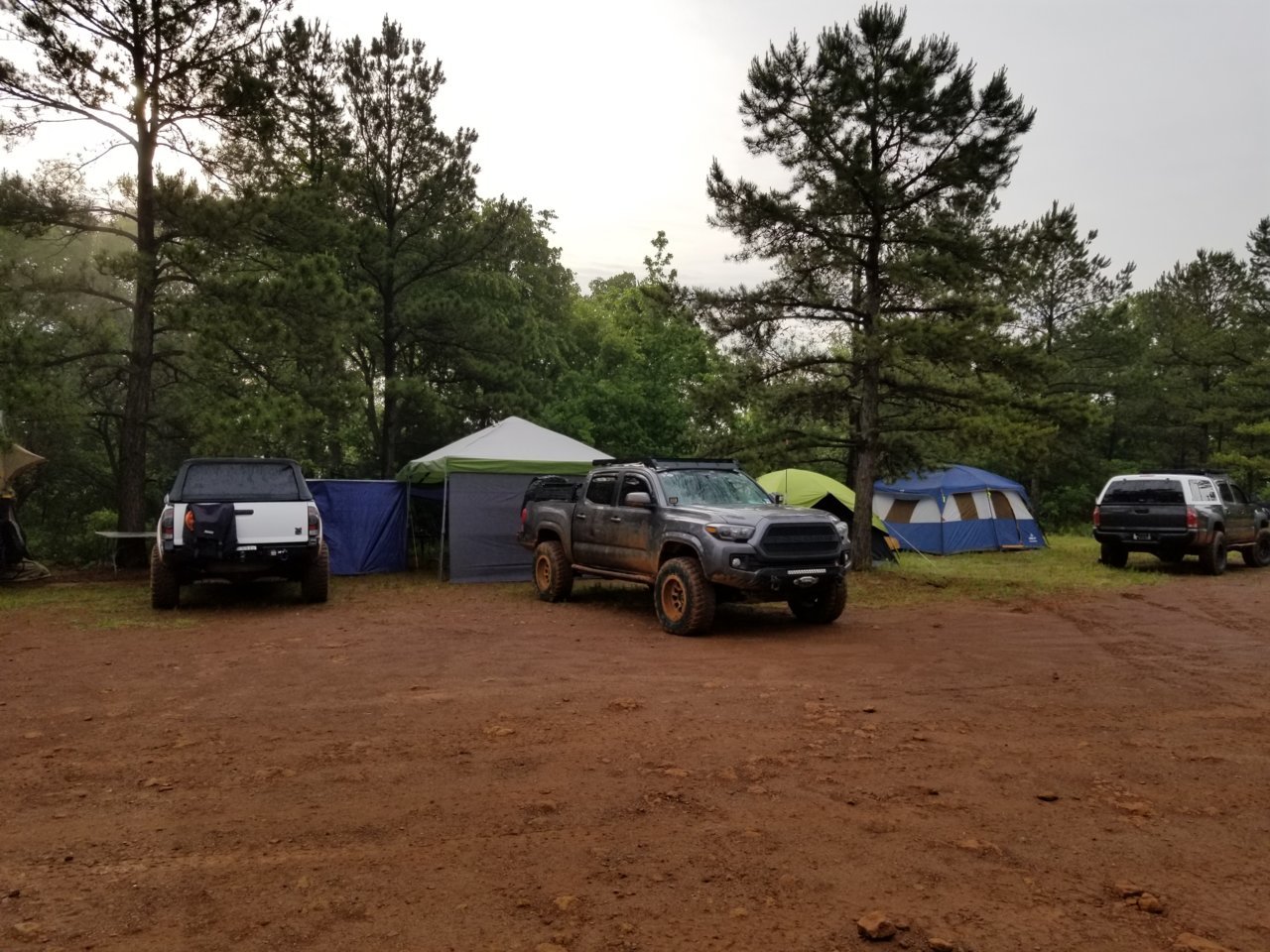 20190503_075952.jpg