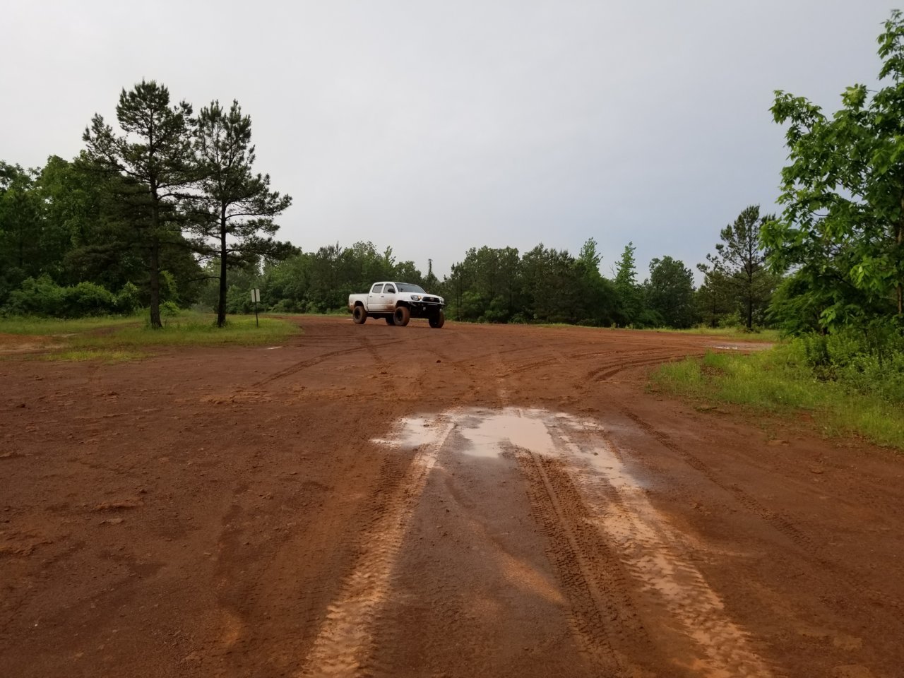 20190503_080016.jpg