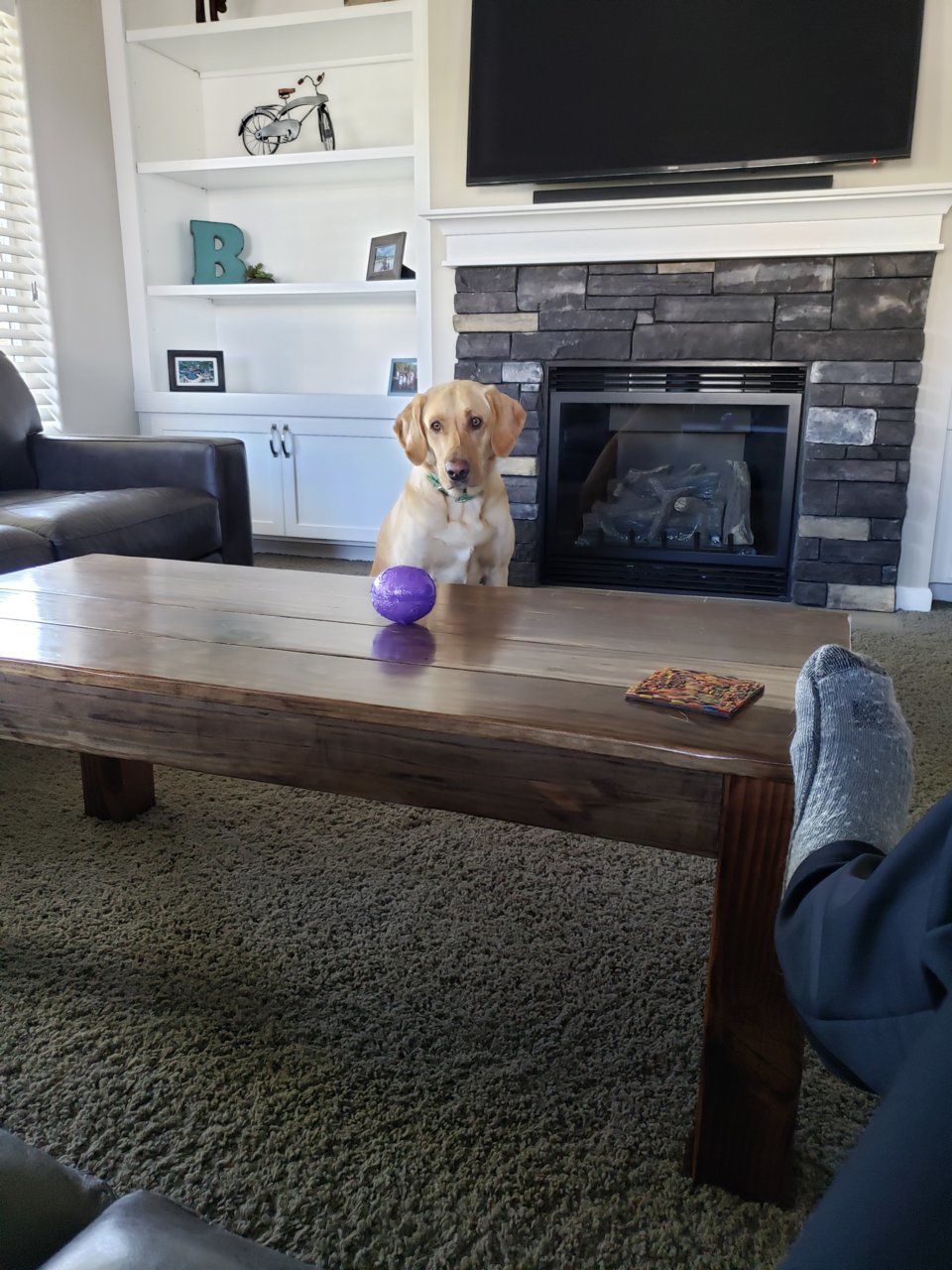 20190503_085208.jpg
