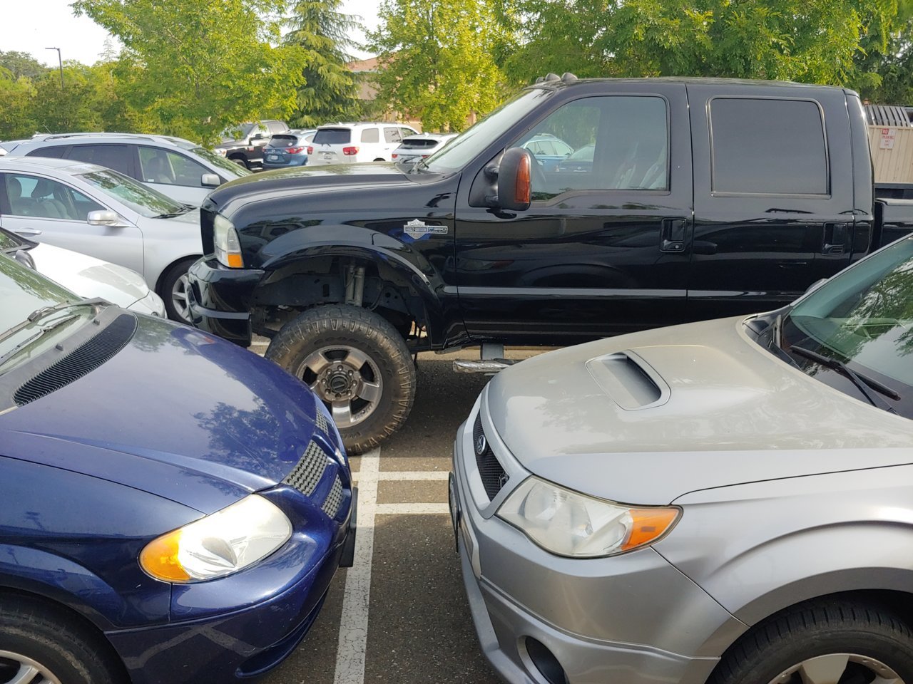20190503_085351_HDR.jpg