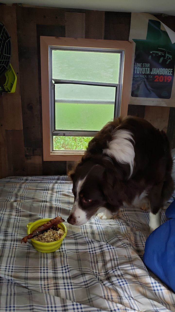20190503_085431.jpg