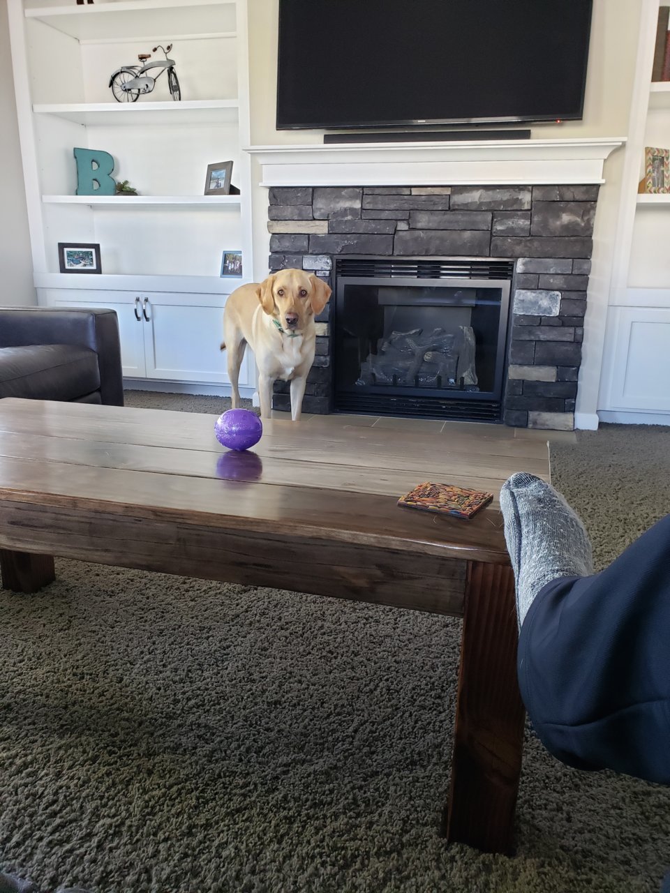 20190503_085935.jpg