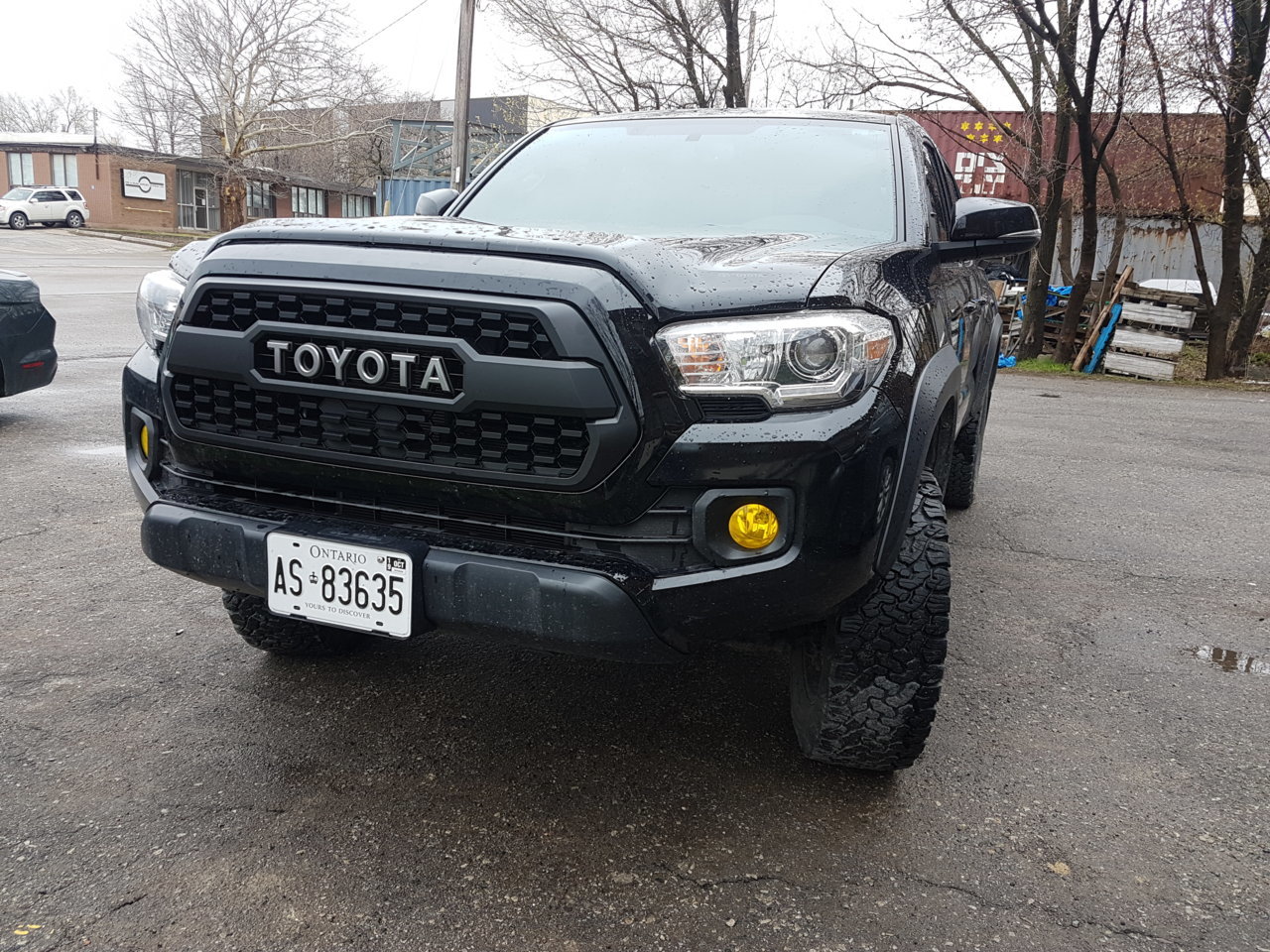 20190503_114231.jpg