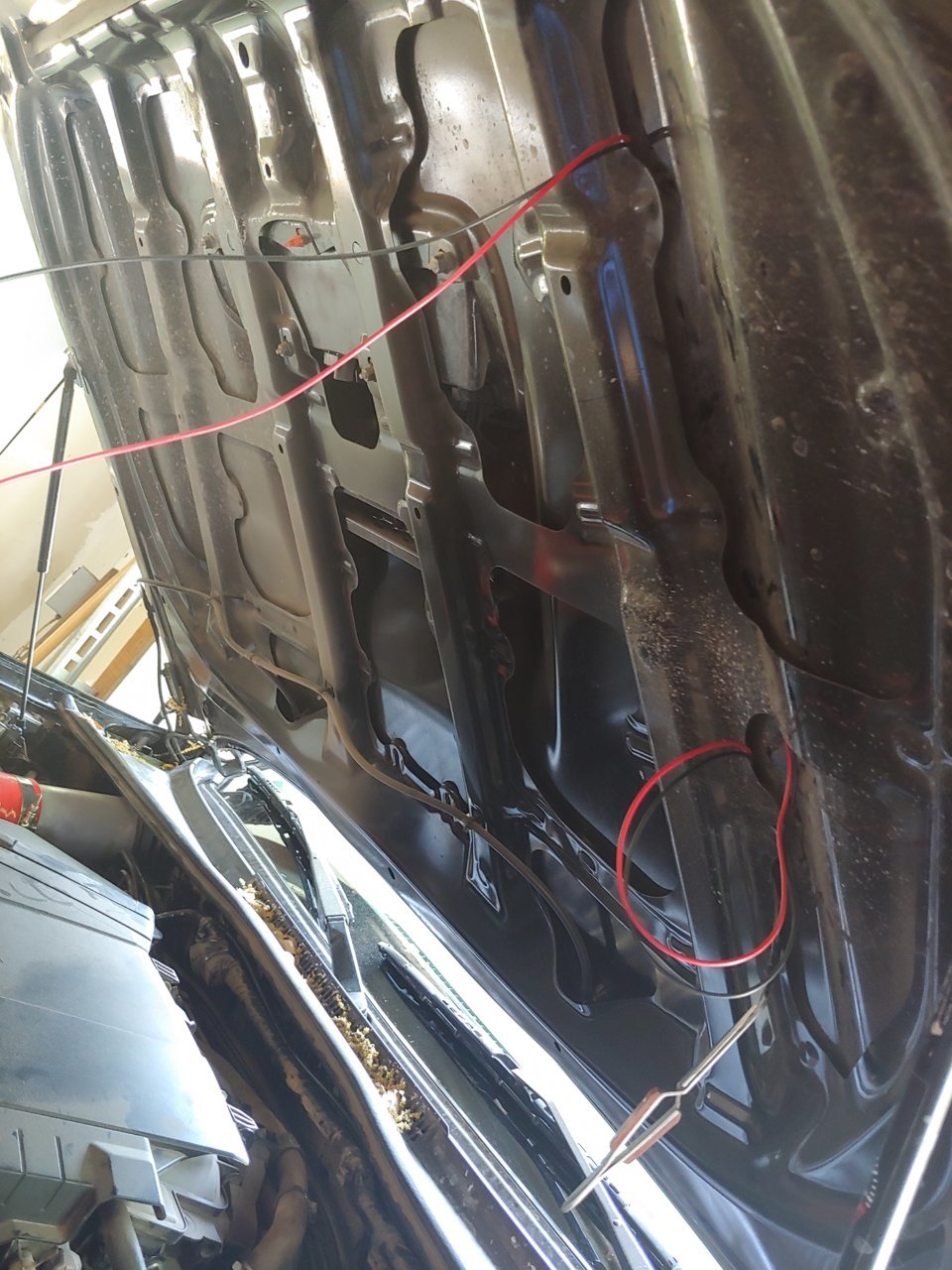 20190503_133828.jpg