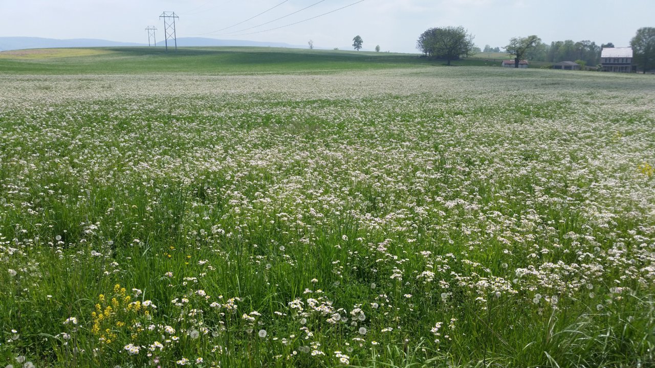 20190503_135452a.jpg