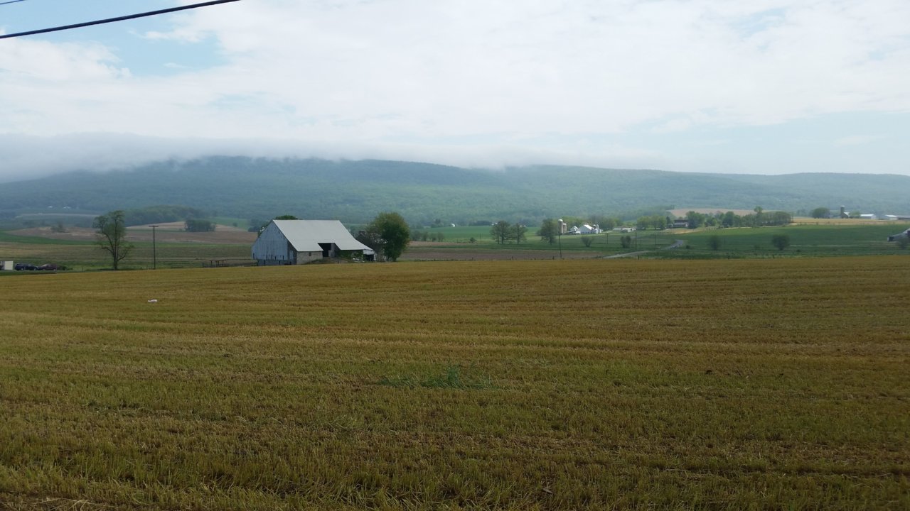 20190503_135846a.jpg