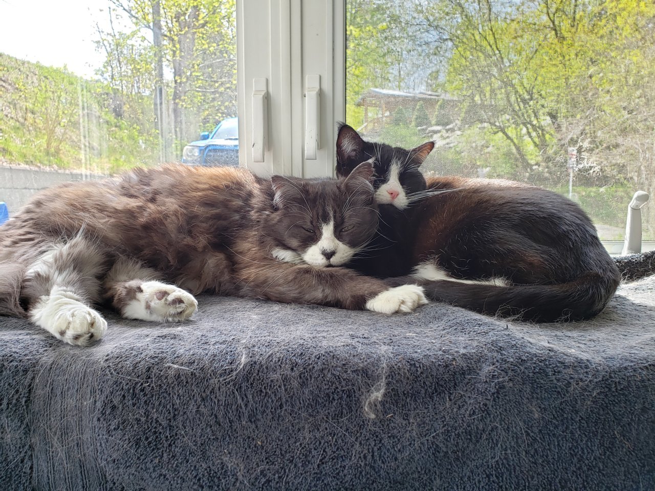 20190503_140339.jpg