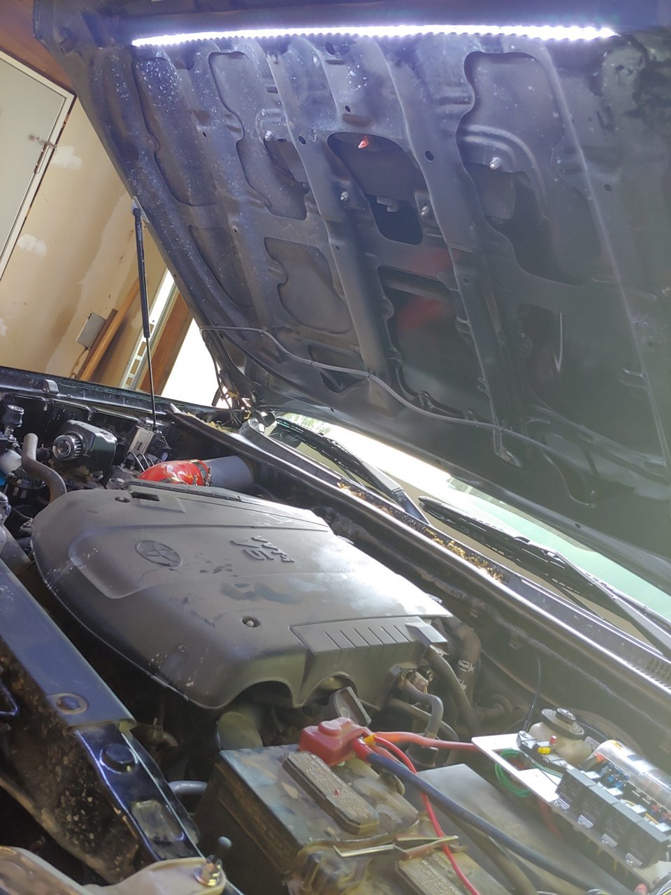 20190503_150847_HDR.jpg