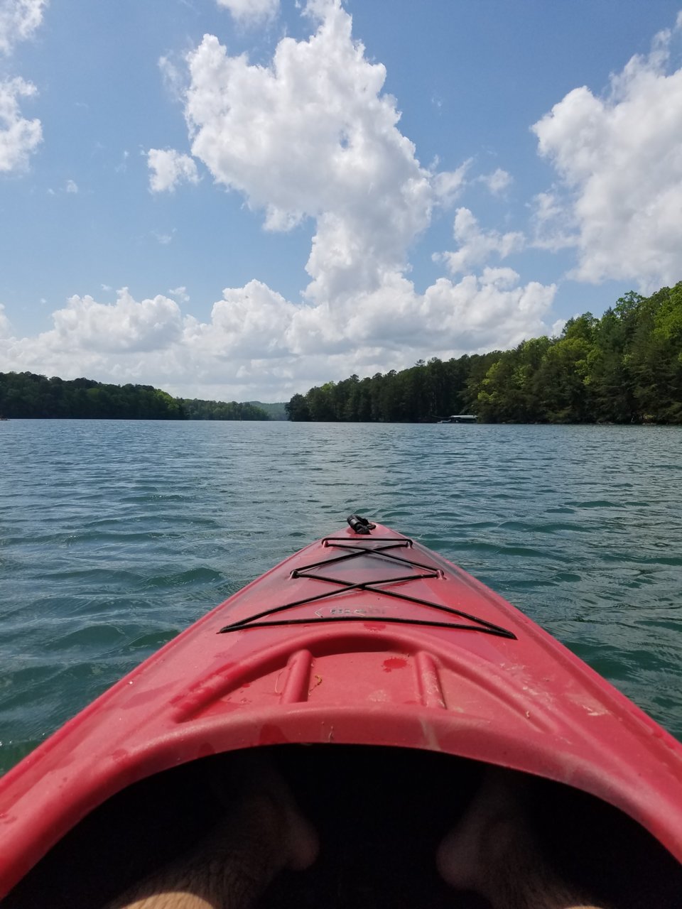 20190503_151650.jpg
