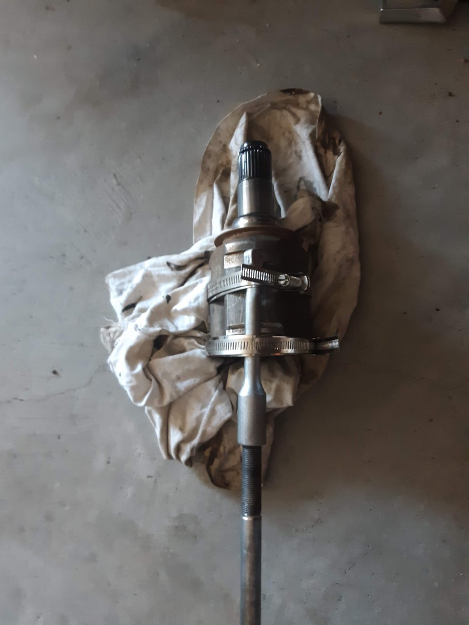 20190503_171458.jpg