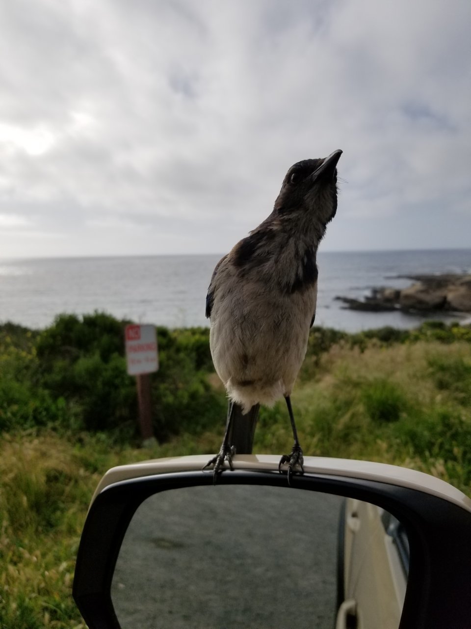 20190503_173429.jpg
