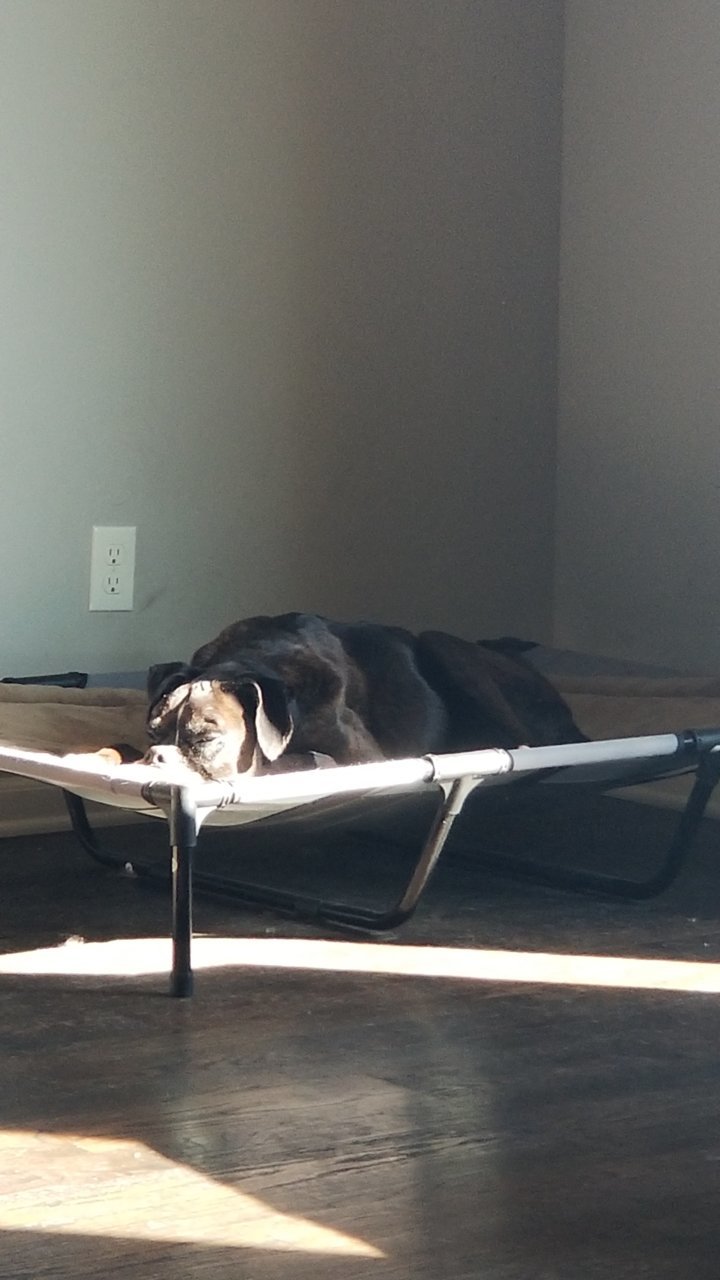 20190503_173532.jpg