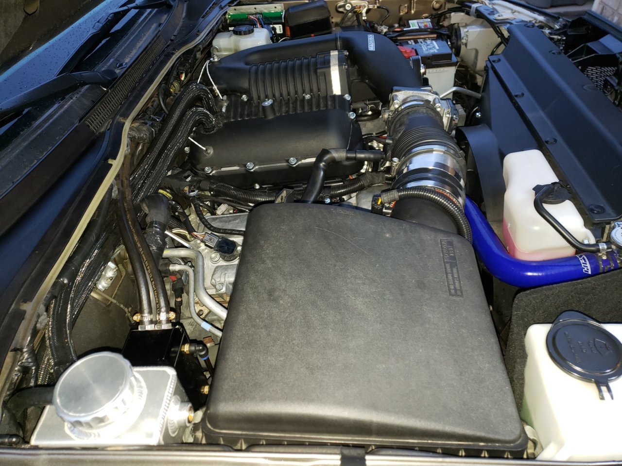 20190503_201236.jpg