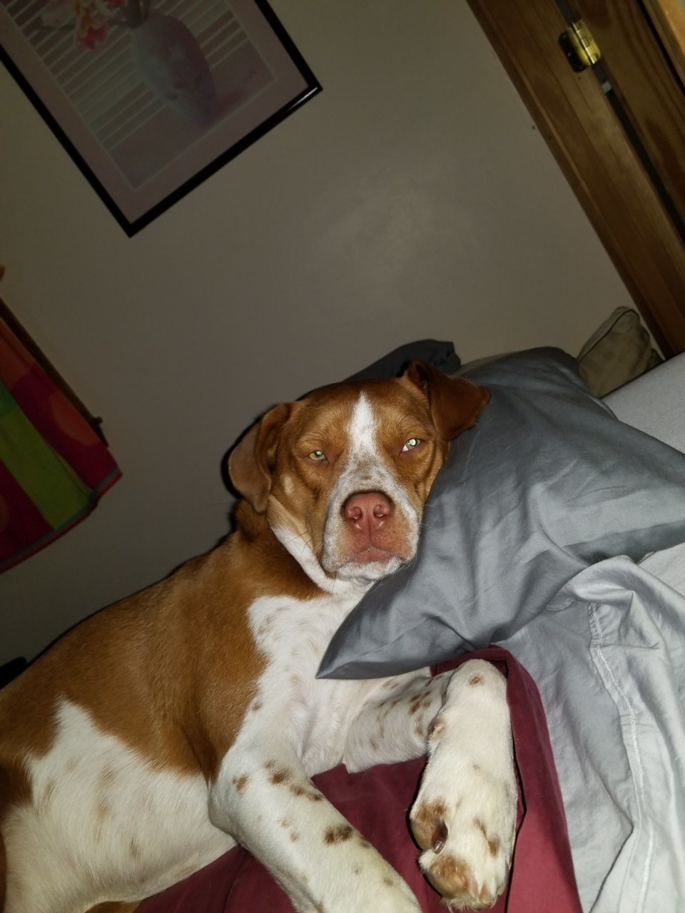20190504_063432.jpg