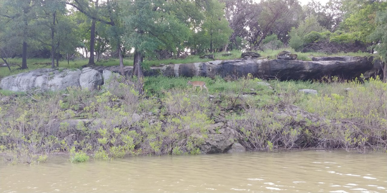 20190504_082405.jpg