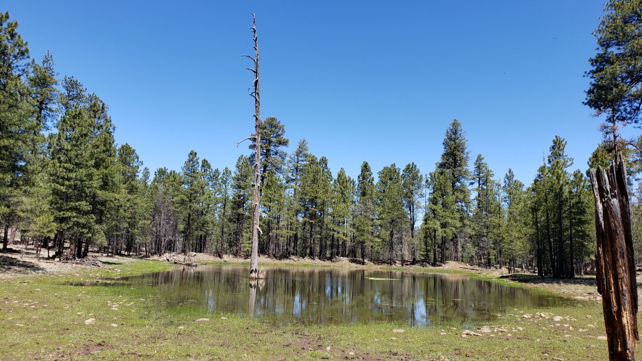 20190504_104649.jpg