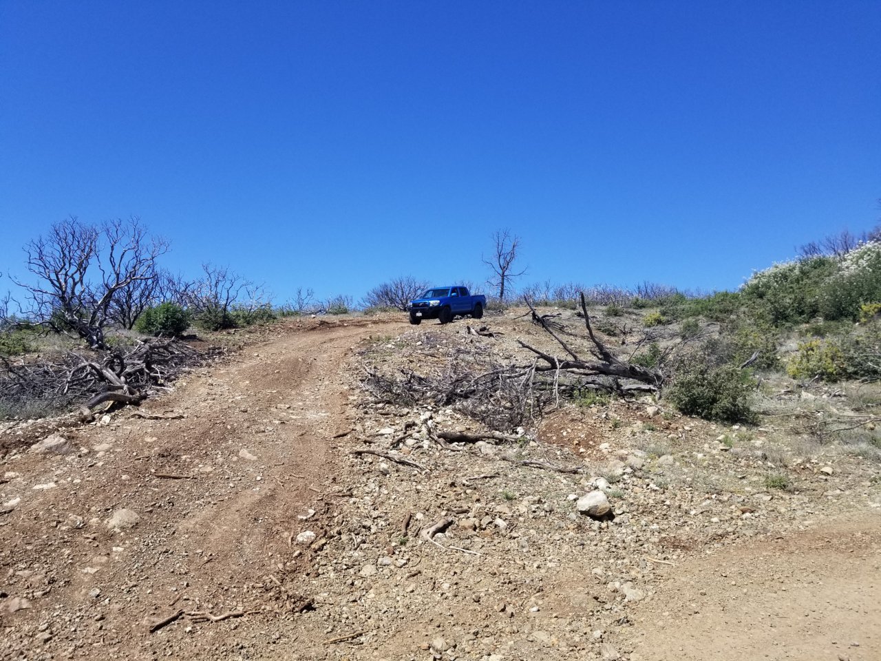 20190504_105146.jpg