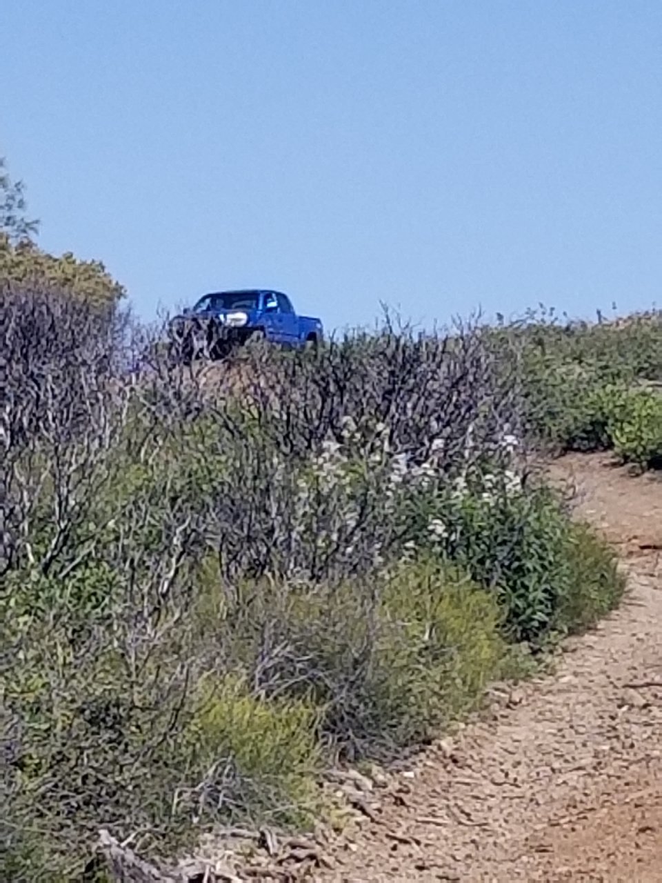 20190504_105802.jpg