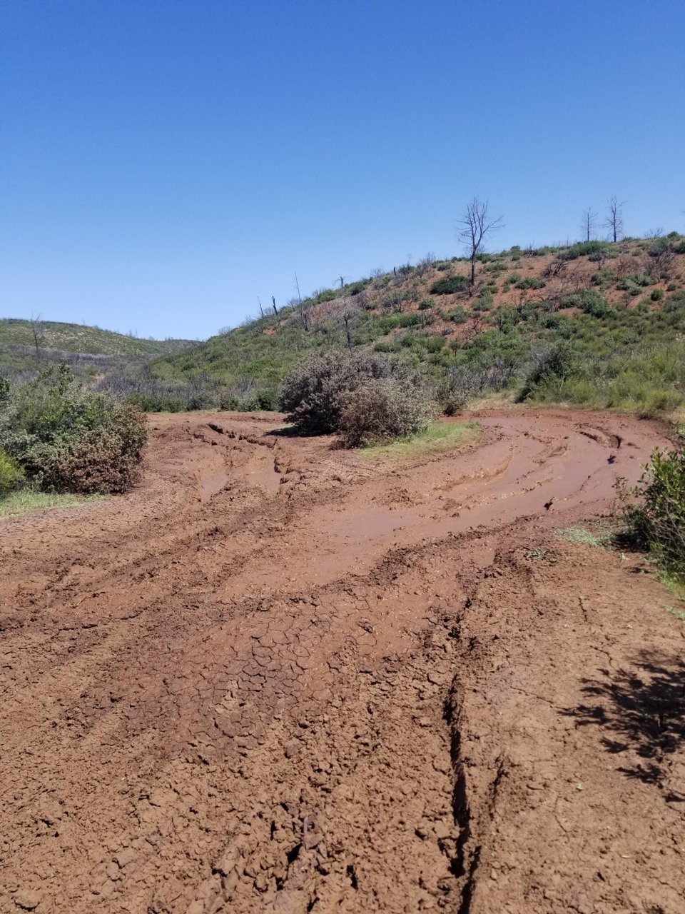 20190504_112744.jpg