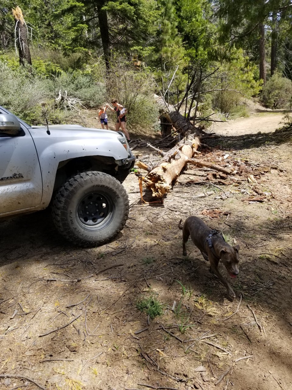 20190504_115957.jpg