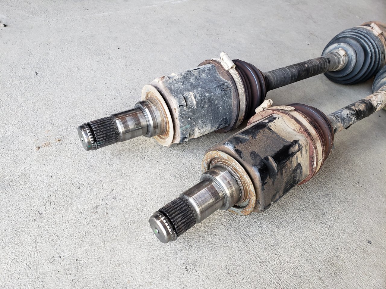 20190504_130402.jpg