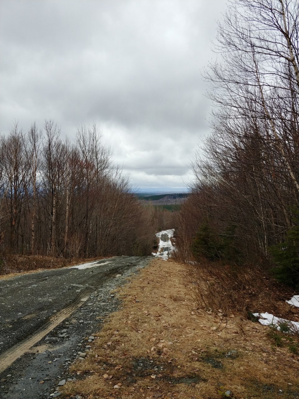 20190504_132053_HDR.jpg