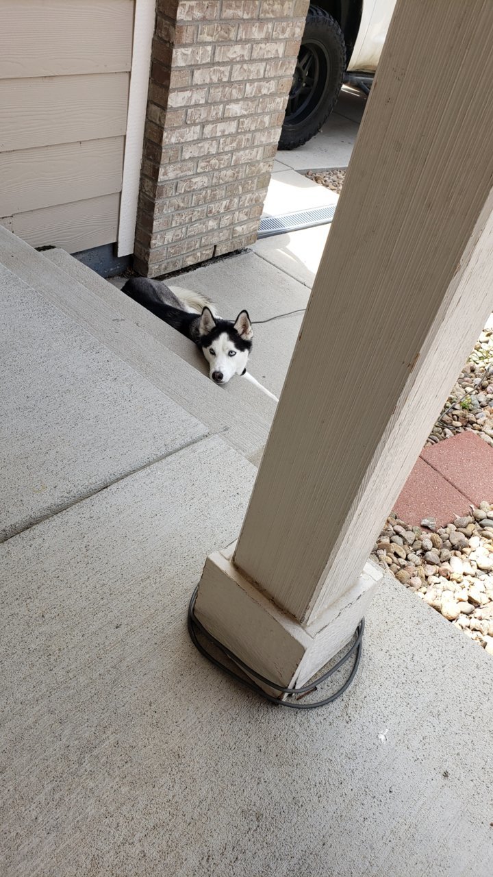 20190504_135051.jpg