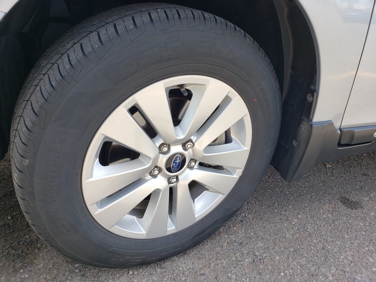 20190504_141518.jpg