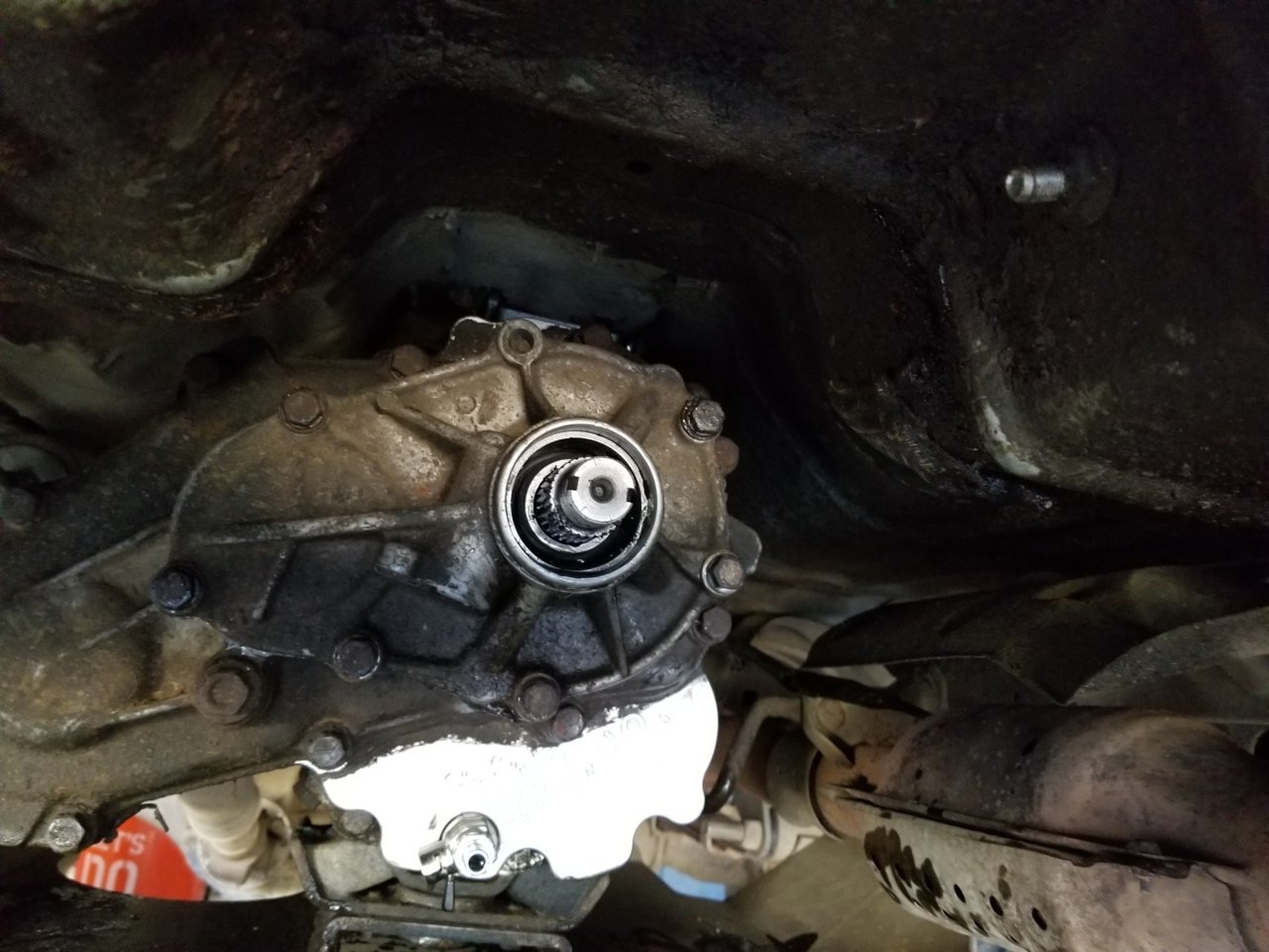 20190504_142159.jpg