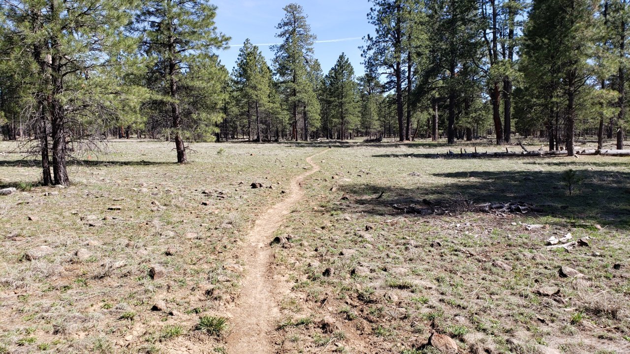 20190504_151530.jpg