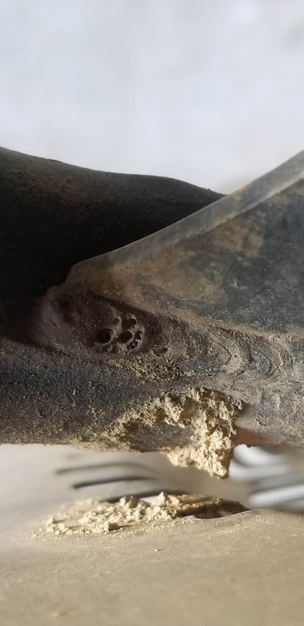 20190504_170548.jpg