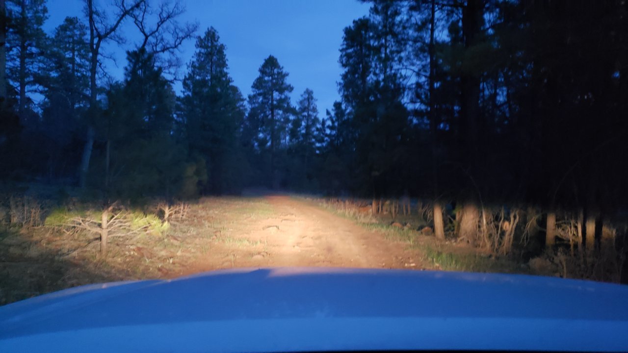 20190504_193823.jpg