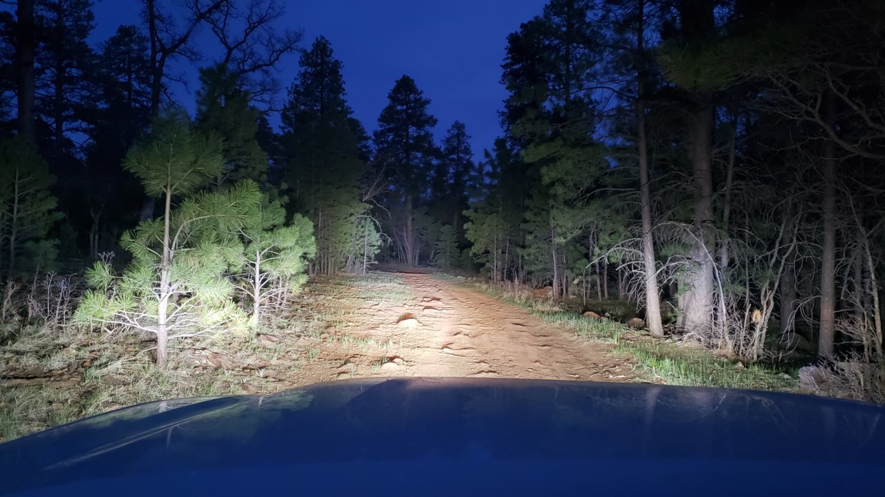 20190504_193834.jpg