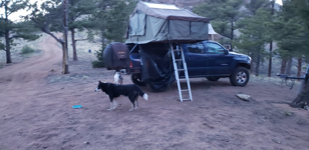20190504_201027.jpg